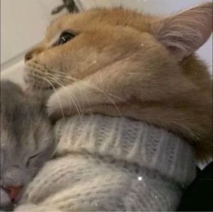 Meet your Posher, Khang